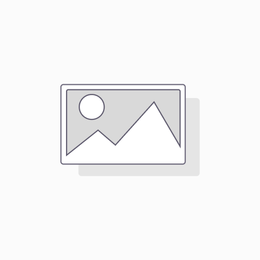 [43325002] SERVICIO HOSTING BASICO